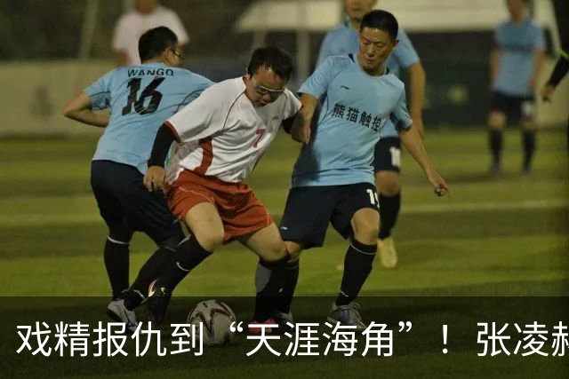 戏精报仇到“天涯海角”！张凌赫片酬抽成很高！